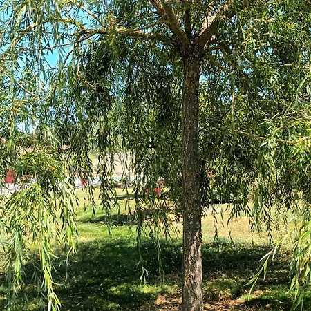 Vakantiehuis D'en Pouillac *