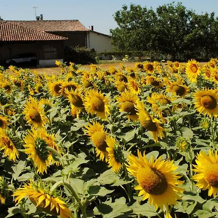D'en Pouillac Holiday home *